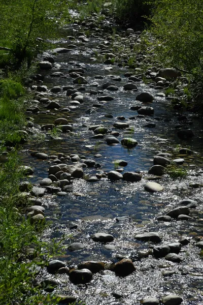 DSC_4286 (Large).JPG